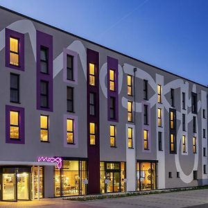 Moxy Simmern